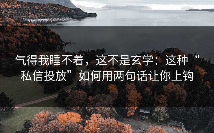 气得我睡不着，这不是玄学：这种“私信投放”如何用两句话让你上钩
