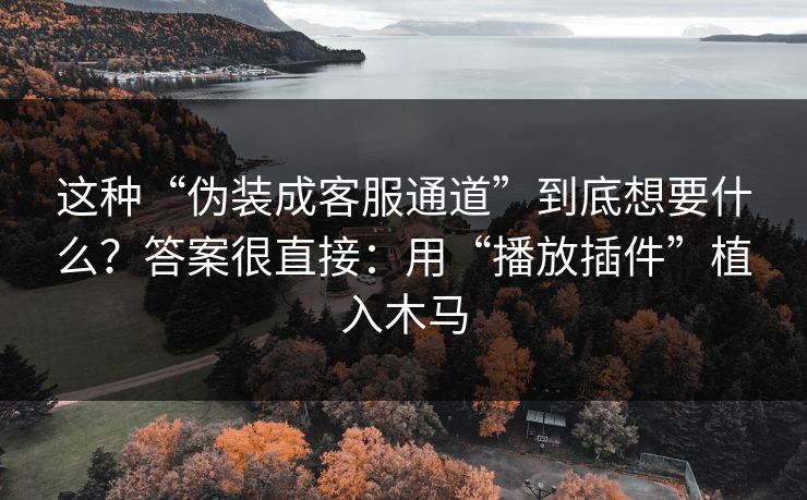 这种“伪装成客服通道”到底想要什么?答案很直接:用“播放插件”植入木马 这种“伪装成客服通道”到底想要什么?答案很直接:用“播放插件”植入木马