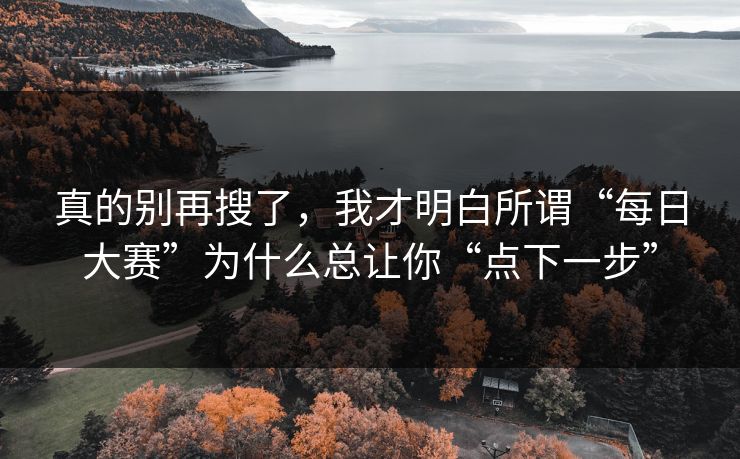 真的别再搜了，我才明白所谓“每日大赛”为什么总让你“点下一步”