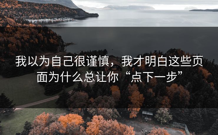 我以为自己很谨慎，我才明白这些页面为什么总让你“点下一步”