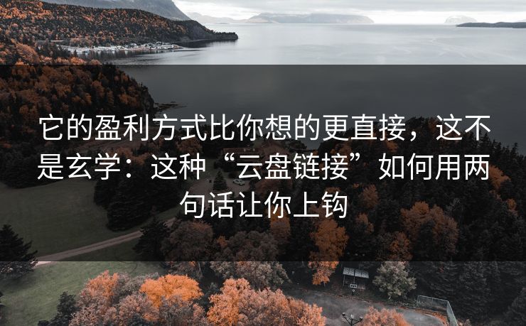 它的盈利方式比你想的更直接，这不是玄学：这种“云盘链接”如何用两句话让你上钩