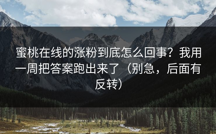 蜜桃在线的涨粉到底怎么回事？我用一周把答案跑出来了（别急，后面有反转）